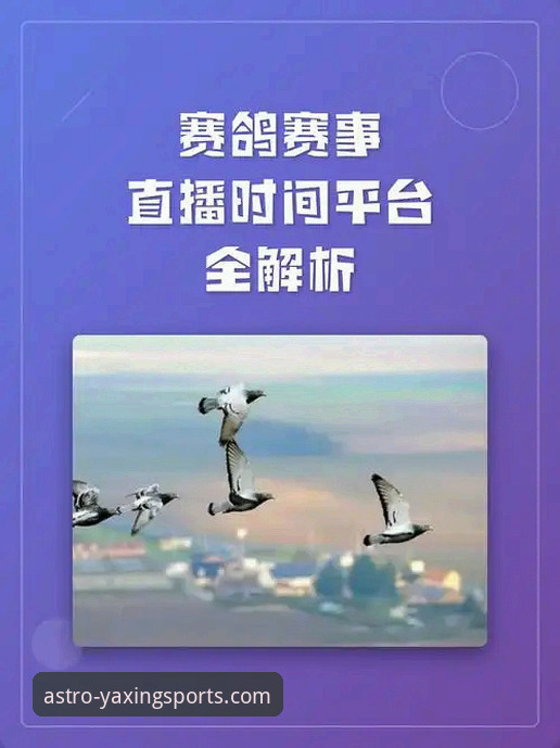 揭秘亚星体育赛事直播的完整生态：从下载到畅享高清赛场的全攻略